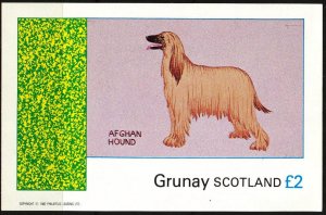 {G038} Grunay Scotland Dogs Afghan Hound S/S 2£ MNH Cinderella !!
