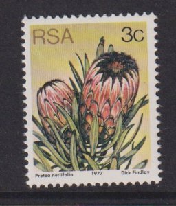 South Africa #477a  MNH  1977 succulents  3c   Perf. 14