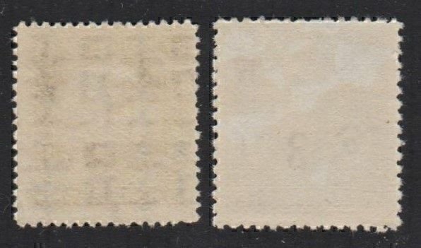 China 1940 湖南 Hunan Surcharge 3c on 5c SYS (2v Cpt) MNH