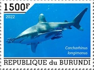 Burundi - 2022 Fish, Oceanic Whitetip Shark - Stamp - BUR2201093a