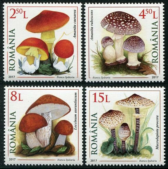 HERRICKSTAMP NEW ISSUES ROMANIA Sc.# 6005-08 Mushrooms 