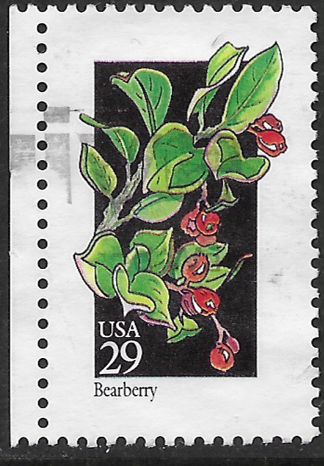 US #2687 Used. Bearberry