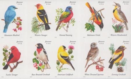 US 4882-91c Modern Imperf Songbirds(10) Pane of 10