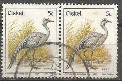 CISKEI, 1981, used 5c, Birds, Scott 9