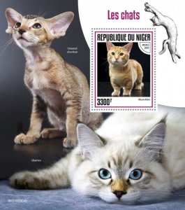 NIGER - 2019 - Cats - Perf Souv Sheet - Mint Never Hinged