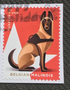 US #5407 Used Single OP Military Working Dogs Belgian Malinois