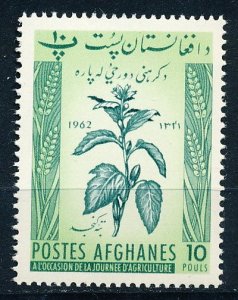 Afghanistan #568 Single MNH