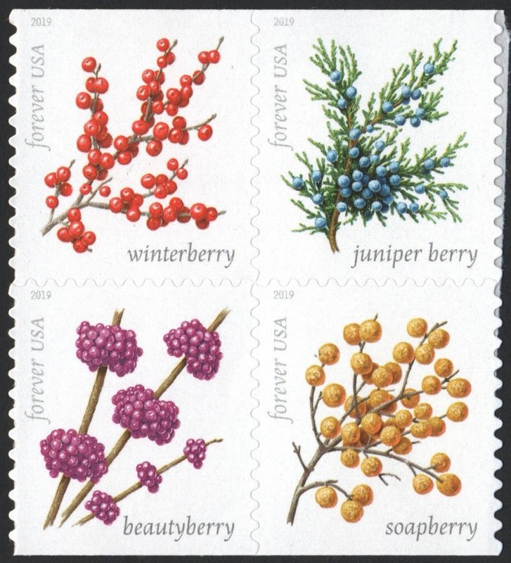 SC#5415-18 (55¢) Winter Berries Block of Four (2019) SA