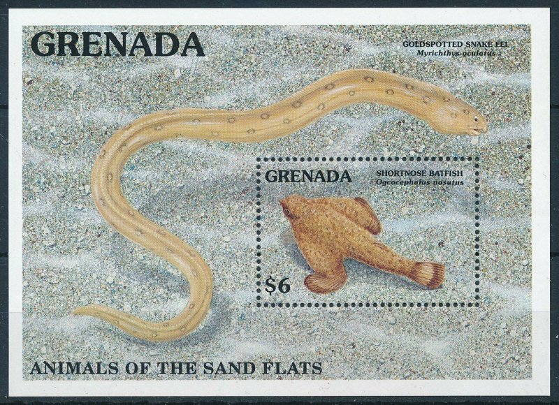 [109102] Grenada 1991 Marine life Batfish Snake Eel Souvenir Sheet MNH