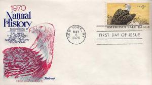 United States, First Day Cover, Birds