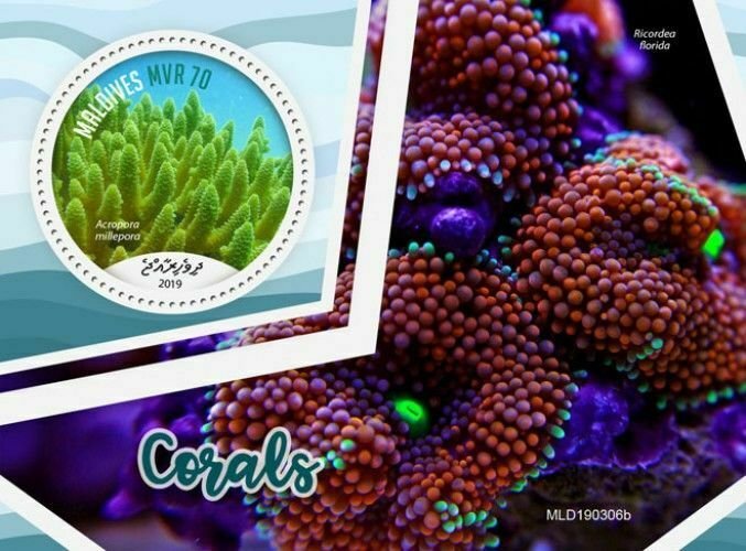 Z08 MLD190306b MALDIVES 2019 Corals MNH ** Postfrisch