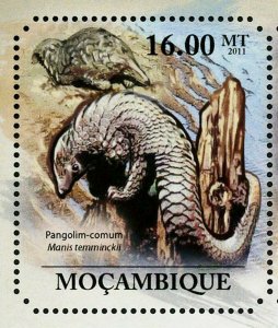 Pangolins & Aardvarks Manis Temminckii Orycteropus After S/S MNH #4959-4964