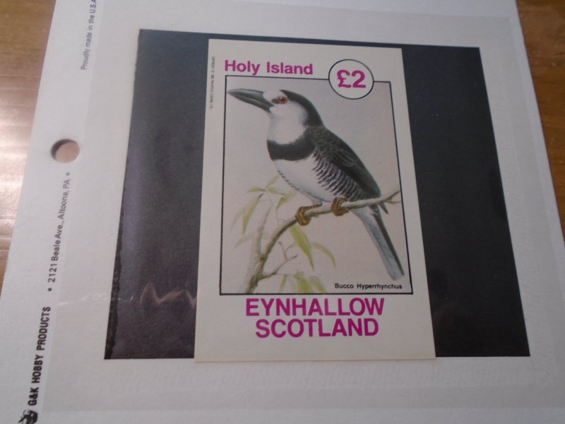 Scotland  Eynhallow   Not listed  MNH  Birds