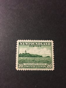 Newfoundland sc 196 MH