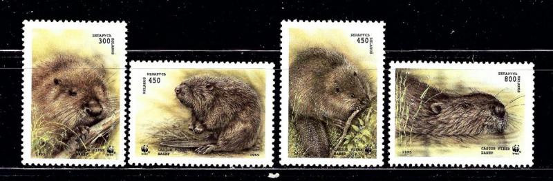 Belarus 117-20 MNH 1995 Beavers (W.W.F.)