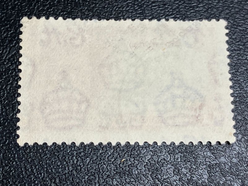 Bermuda Scott 100 Used