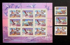 RUSSIA Sc 6155-7+6157a NH SET+MINISHEET OF 1993 - BIRDS - DUCKS - (AF24)