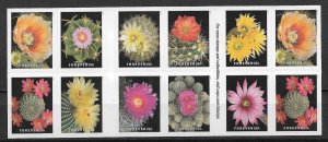 2019 #5350-9 complete Cactus Flowers booklet of 20 MNH