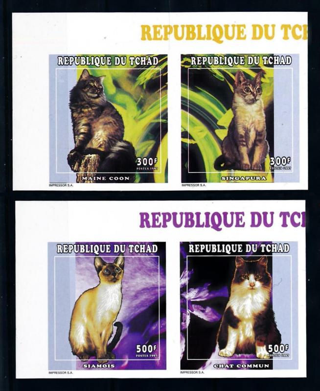 [77212] Tchad Chad 1998 Pets Cats Maine Coon Siamese Imperforated MNH