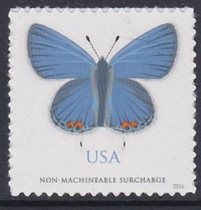5136 Eastern Tailed-Blue Butterfly MNH