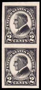 United States Scott 611 Vertical Pair (1923) Mint H VF, CV $9.95 W