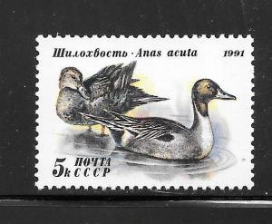 Russia #6009 MNH Single