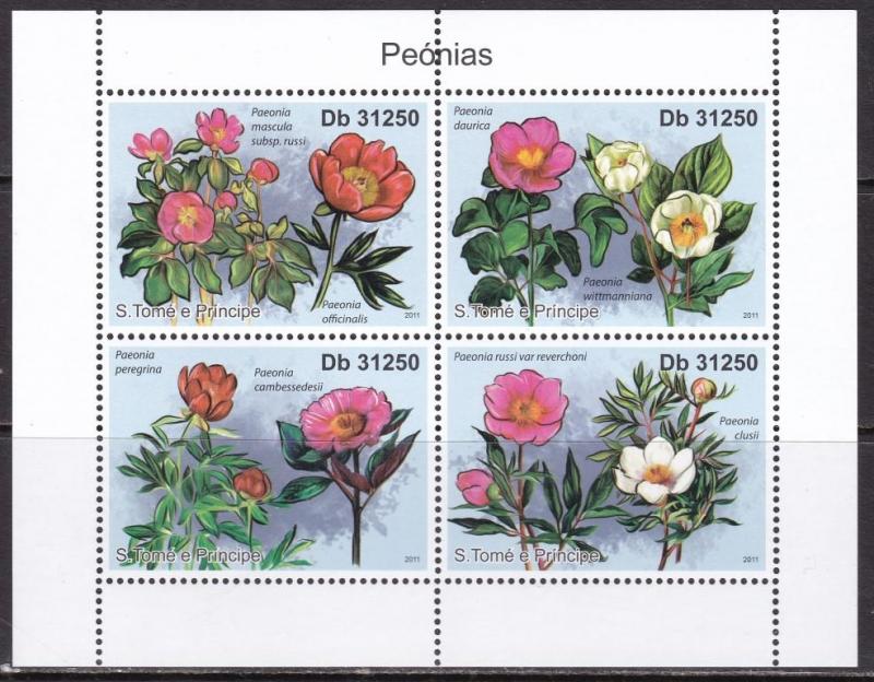 Sao Tome and Principe, Flowers, Peonies MNH / 2011