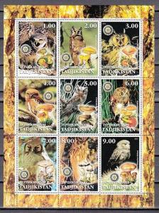 Tadjikistan, 2001 Russian Local. Owls & Mushrooms sheet/9. Rotary Logo