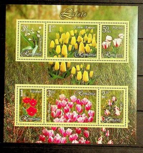 ROMANIA Sc 4817b NH SOUVENIR SHEET OF 2006 - FLOWERS