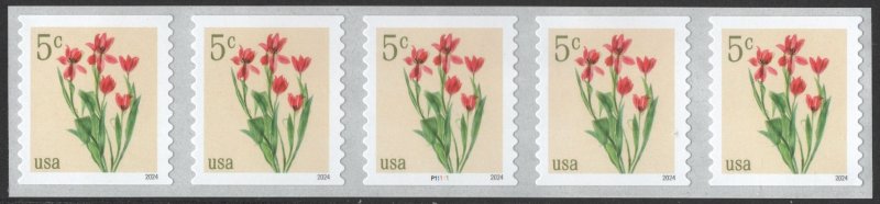 NEW ISSUE: 5¢ Red Tulips Coil Plate Strip of Five: #P11111 (2024) SA