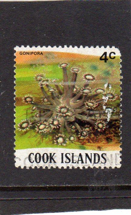 Cook Island Marine Life used