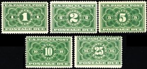 JQ1-5, Mint LH/H 1¢-25¢ - Parcel Post Set SCV $257.00 - Stuart Katz