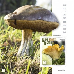 Guinea-Bissau - 2020 Mushrooms on Stamps - Stamp Souvenir Sheet - GB200315b