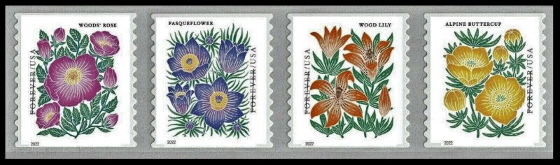 #5676 - 5679a 2022 Mountain Flora Coil Strip/4  - MNH