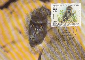 Cameroun 1988 Maxicard Sc #845 70fr Drill baboon WWF