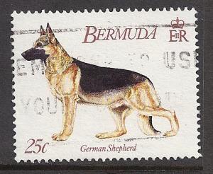 Bermuda 638 used BIN 3322