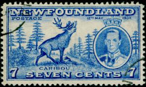 CANADA - Newfoundland SG259, 7c bright ultramarine, FINE USED. CDS.