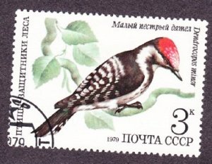 Russia 4777 Birds Used Single