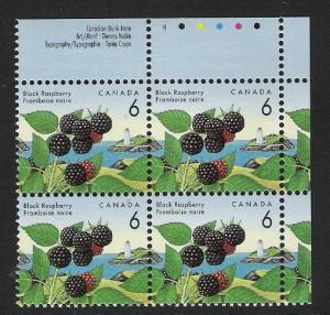 Canada PL BL Black Raspberry 6