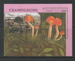 Thematic Stamps Plants - GUINEA REPUB 1996 FUNGI MS mint