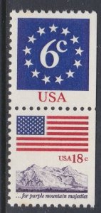 1893c Flag MNH