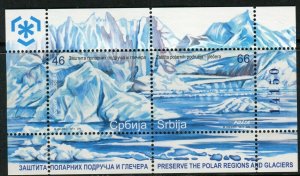 0370 SERBIA 2011 - Preserve The Polar Regions and Glaciers - MNH Suvenir Sheet