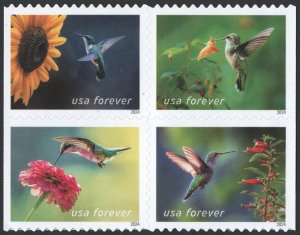 NEW ISSUE (Forever) Garden Delights Booklet Block of Four (2024) SA