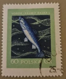 Poland #811 Used 2023 SCV $0.25