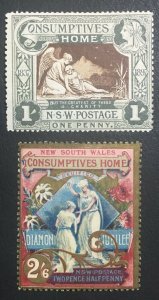 MOMEN: NEW SOUTH WALES SC #B1-B2 MINT OG H LOT #61419