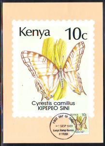 CAMILLUS CYRESTIS - KENYA - 1989 MAXICARD