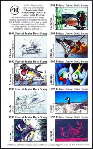 JDS-X FIRST U.S 1992 FEDERAL JUNIOR DUCK- IMPERFORATED- RARE