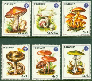 PARAGUAY MINKUS Mushrooms2 BIN $2.50
