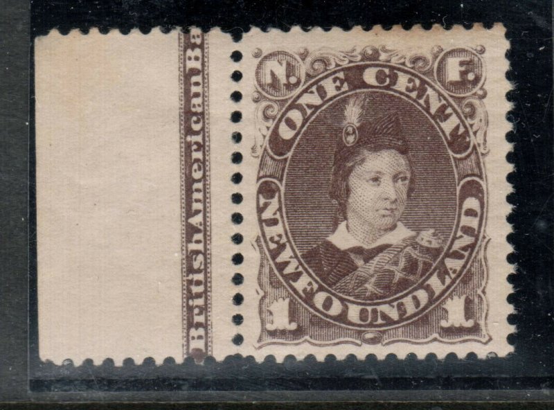 Newfoundland #43 Very Fine Mint Original Gum Hinged Imprint Margin Copy