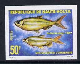 Upper Volta 1979 Freshwater Fish 50f Como tetra unmounted...